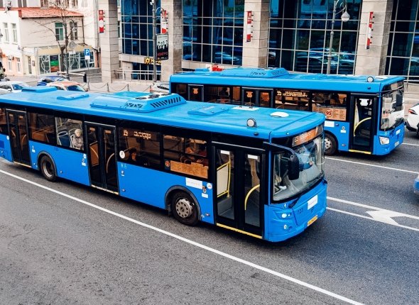 Новость дня