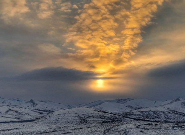 Новость дня