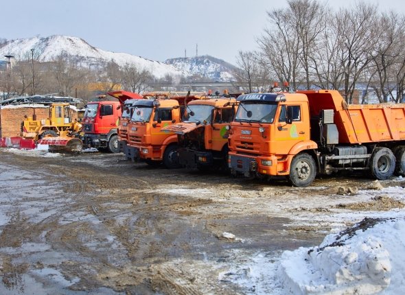 Новость дня