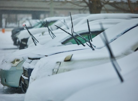 Новость дня