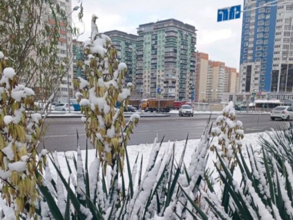 Новость дня