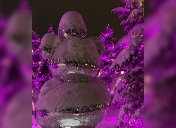 Новость дня