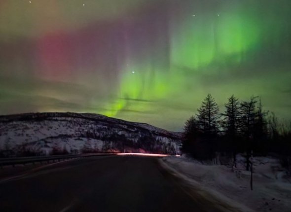 Новость дня