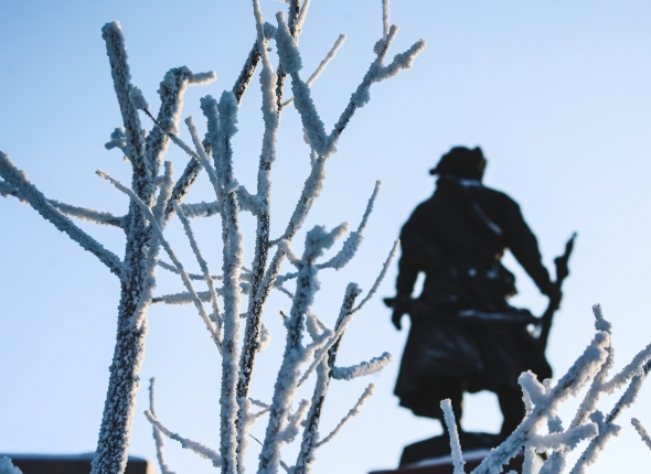 Новость дня