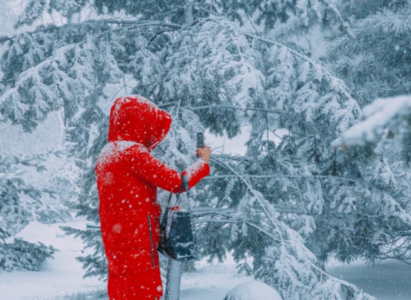 Новость дня