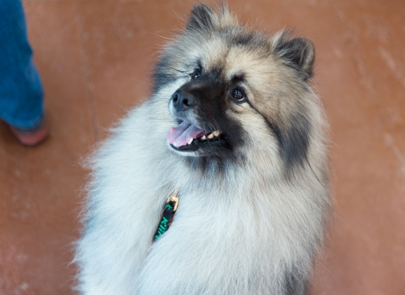 Новость дня