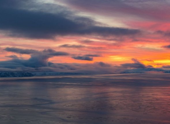 Новость дня