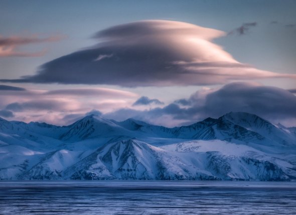 Новость дня