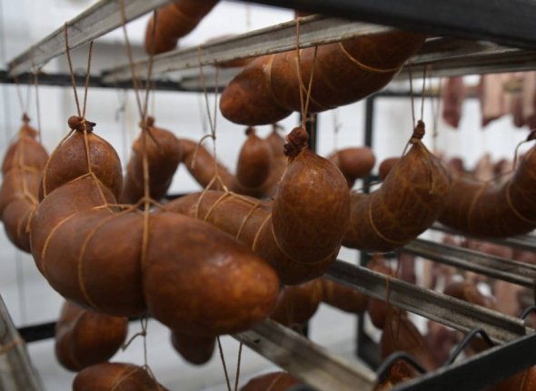 Новость дня