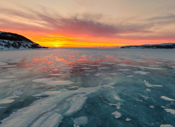 Новость дня