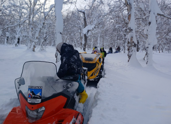 Новость дня