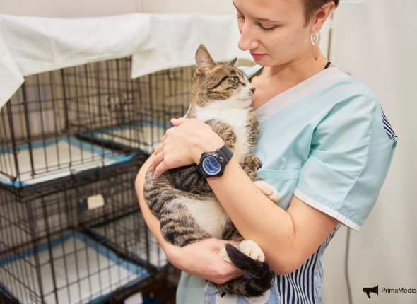 Новость дня