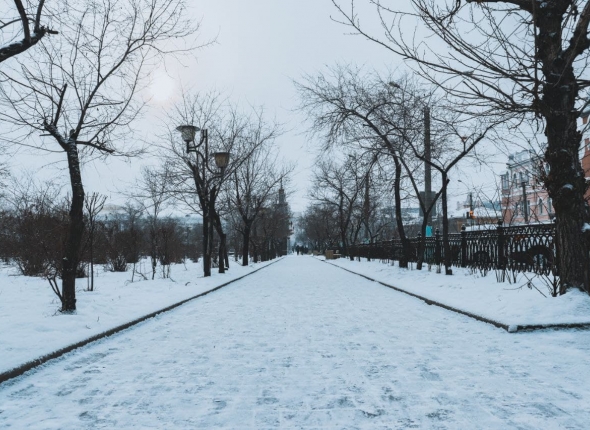 Новость дня