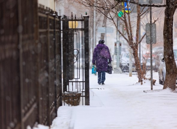 Новость дня