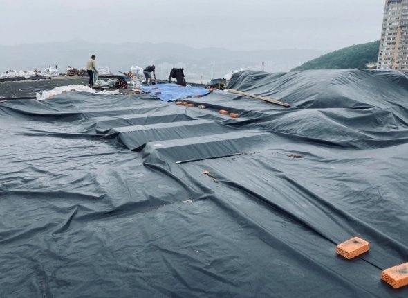 Новость дня