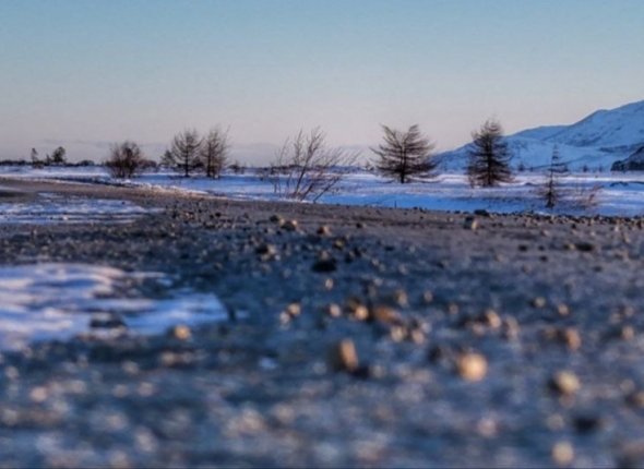 Новость дня