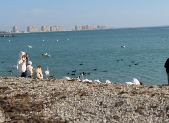 Новость дня