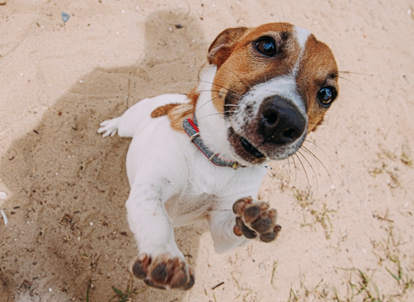 Новость дня