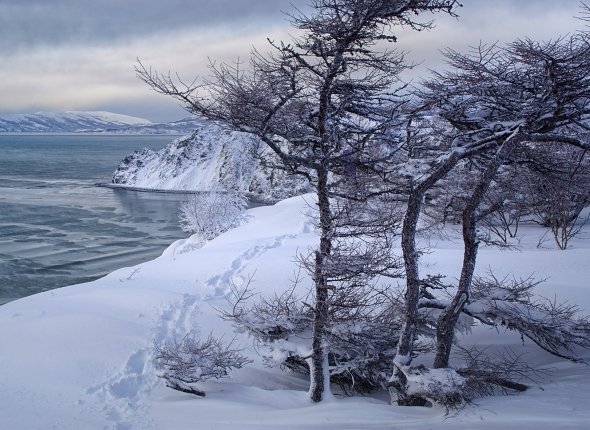 Новость дня