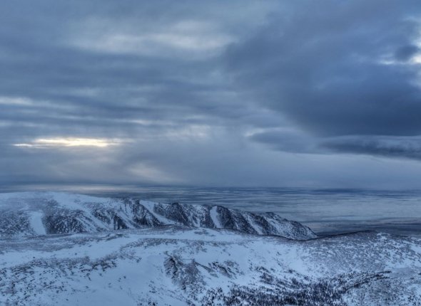 Новость дня