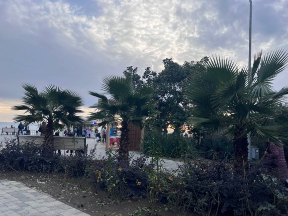 Новость дня