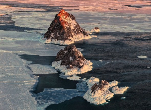 Новость дня