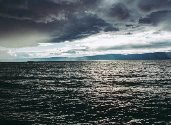 Новость дня