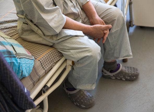 Новость дня