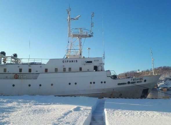 Новость дня