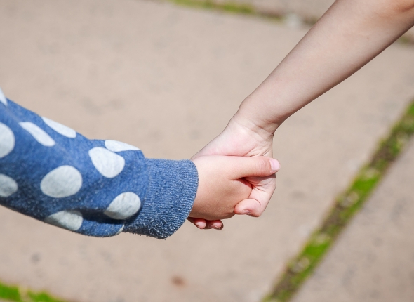 Новость дня