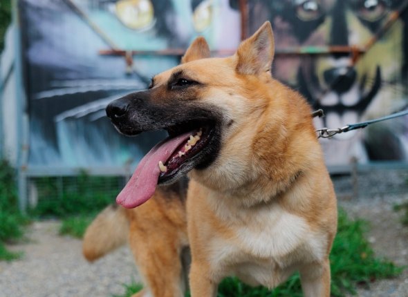 Новость дня