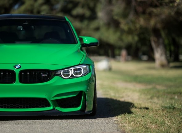 Новость дня