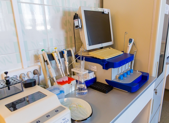 Новость дня