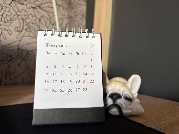 Новость дня