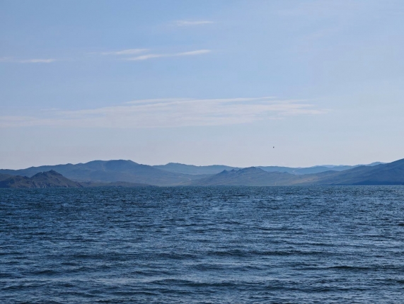 Новость дня