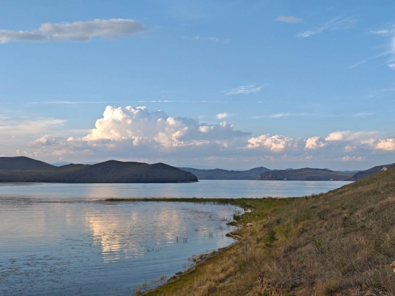 Новость дня