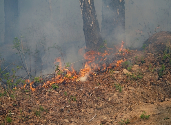 Новость дня