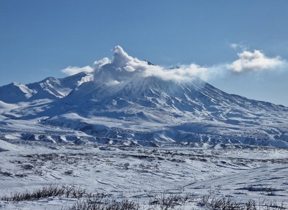 Новость дня