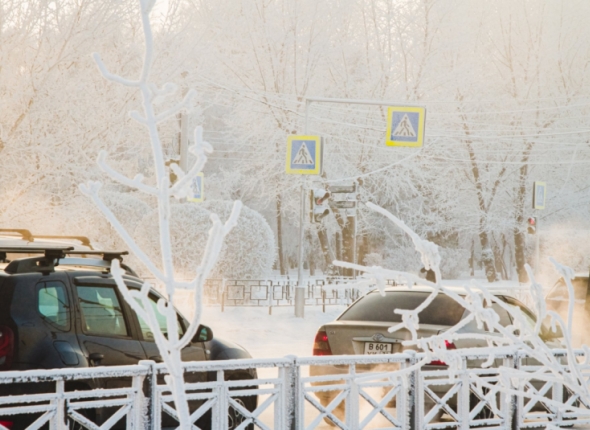 Новость дня