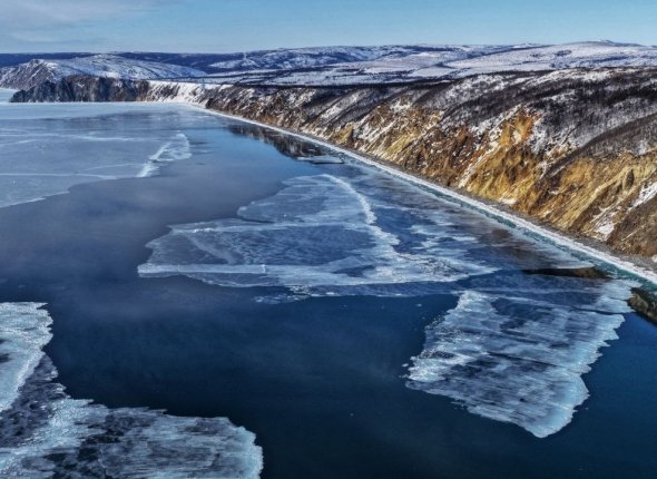 Новость дня