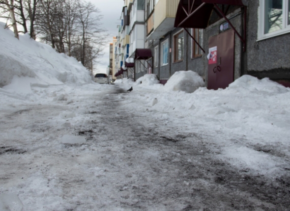 Новость дня