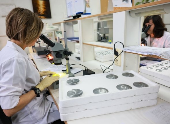 Новость дня