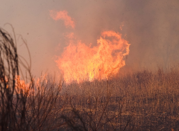 Новость дня