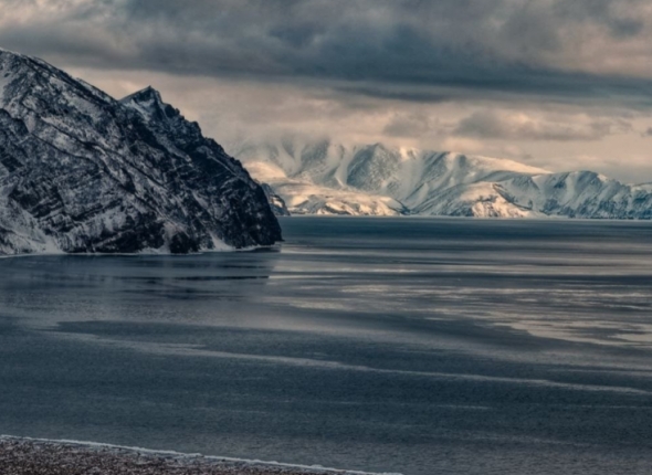 Новость дня