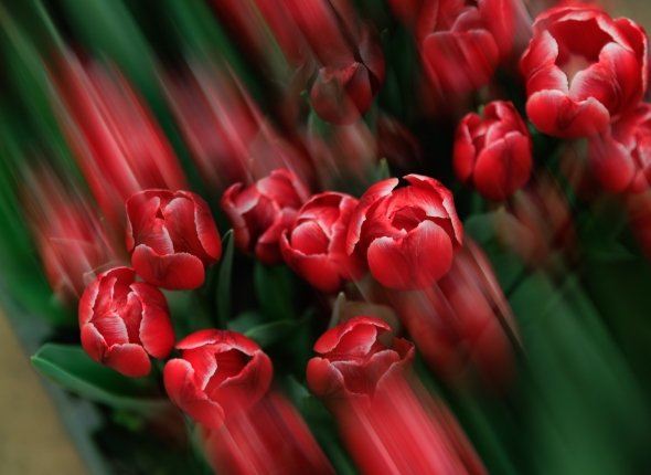 Новость дня