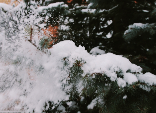 Новость дня