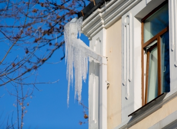 Новость дня