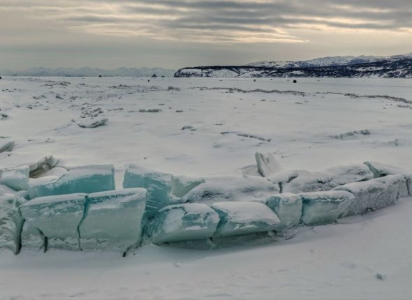 Новость дня