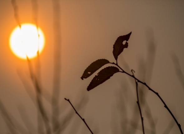 Новость дня