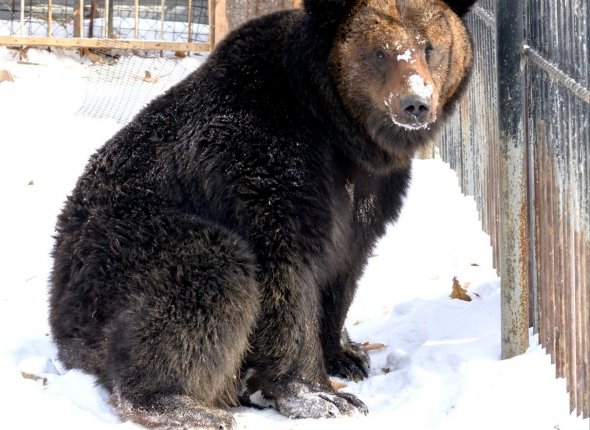 Новость дня